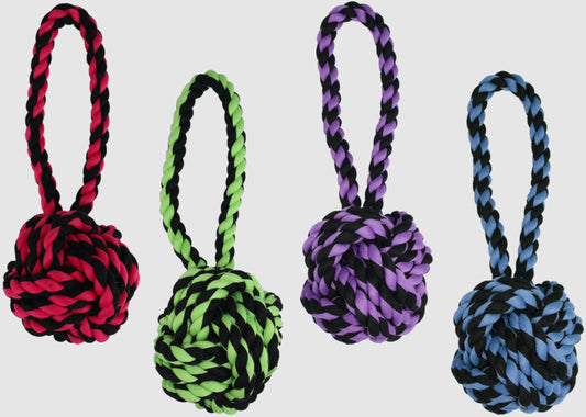 Multipet Nuts For Knots with Tug Toy Assorted 1ea/6 in