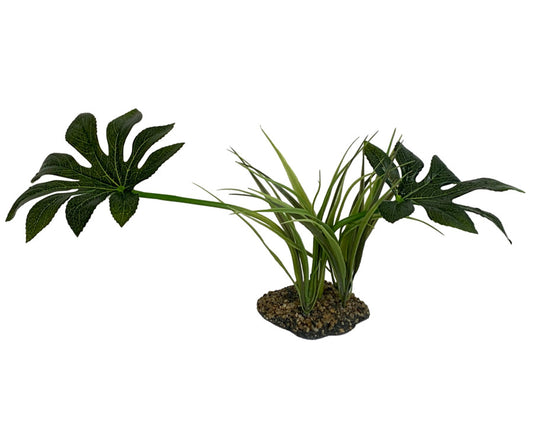 Komodo Jungle Canopy Plant 1ea/42 cm