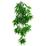 Komodo Bamboo Hanging Plant 1ea/LG, 26 in