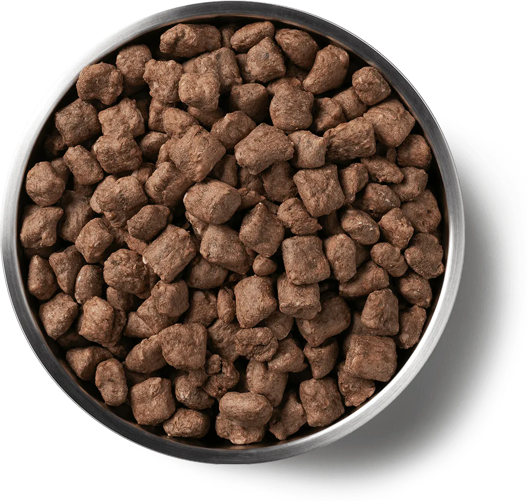 Vital Essentials Dog Freeze-Dried Nibs Beef 14oz.