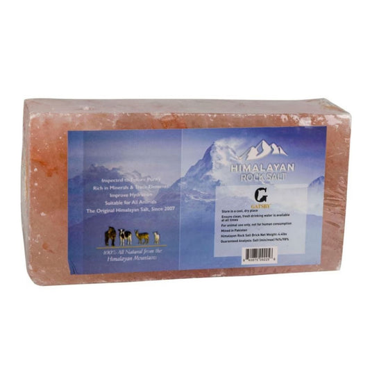 Gatsby 100% Natural Himalayan Rock Salt Block 4lbs.