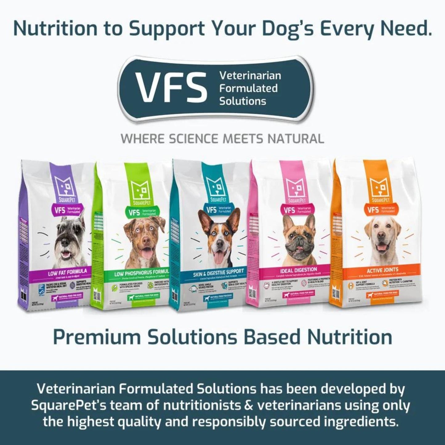 Square Pet VFS Dog Ideal Digestion Formula 22Lb