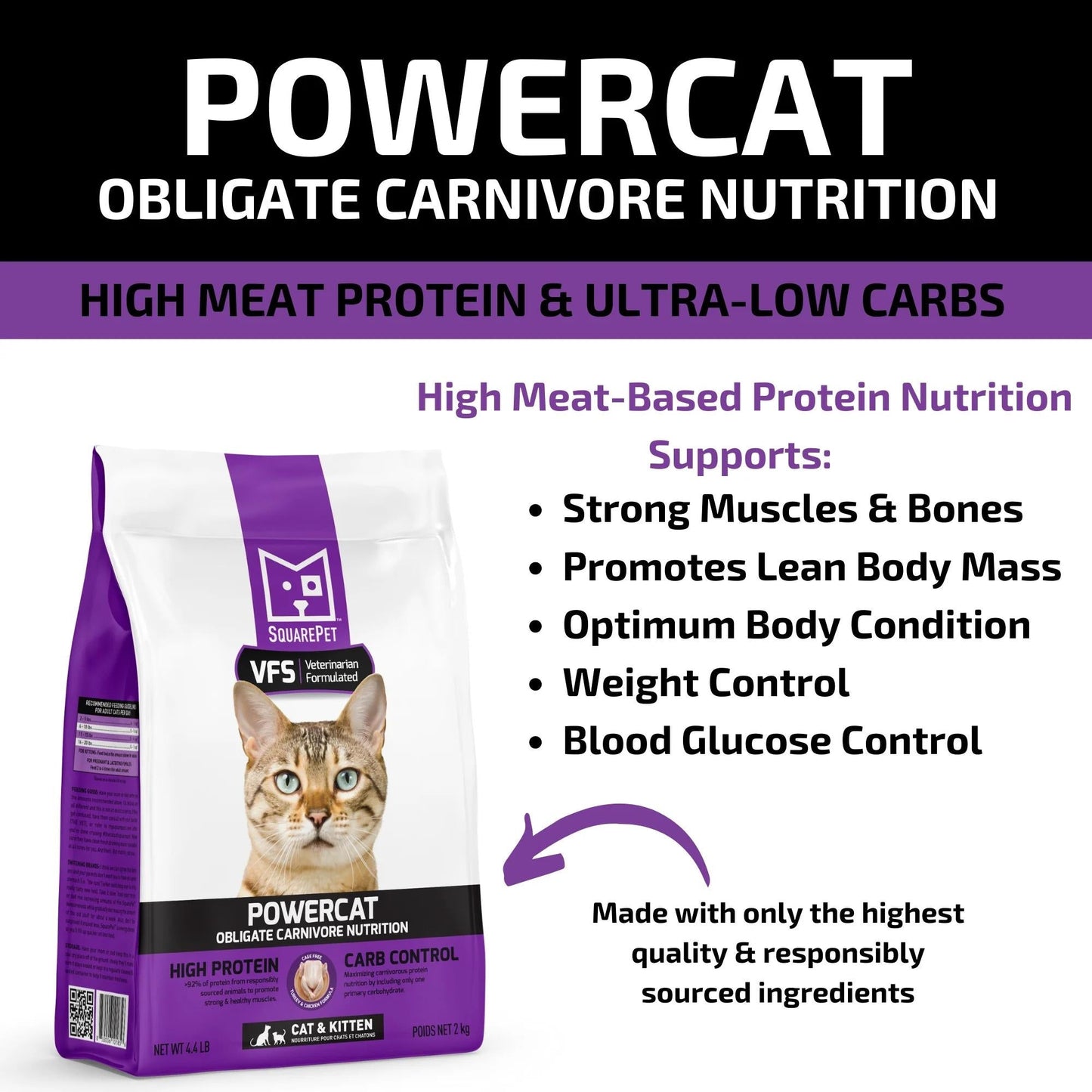 Square Pet VFS Powercat 4.4Lb  Turkey Chicken