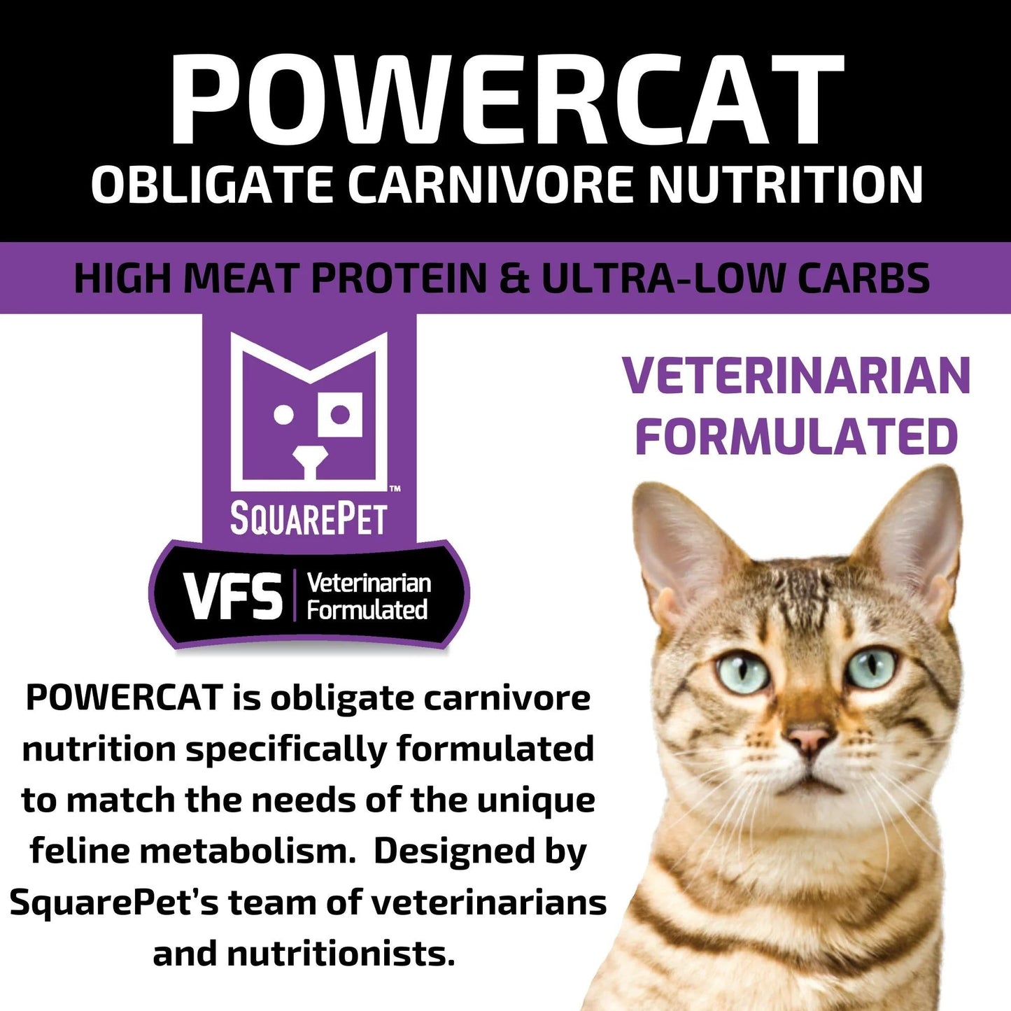 Square Pet VFS Powercat 4.4Lb  Turkey Chicken