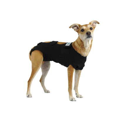 Calm Paws Calming Recovery Vest Small