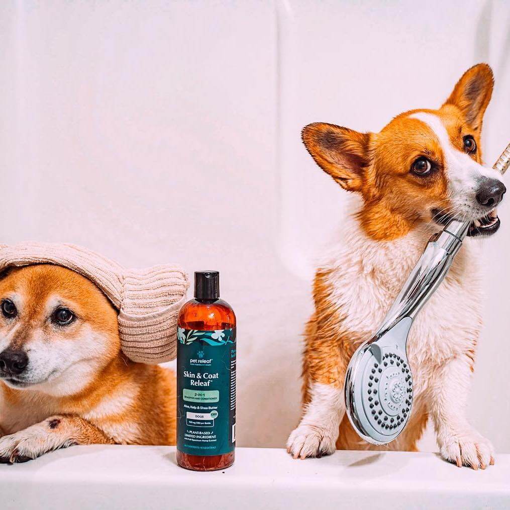 Pet Releaf Skin & Coat Dog 16oz. 2-In-1 Shampoo & Conditioner Cbd 100Mg