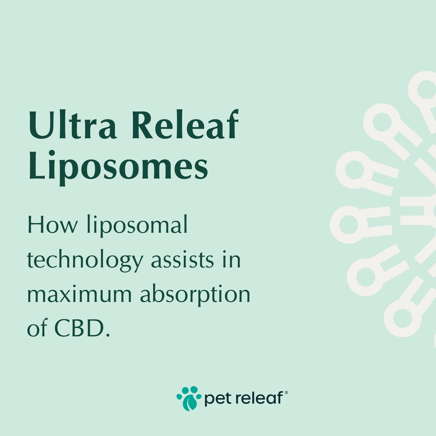 Pet Releaf Lipesome Ultra Releaf Hemp Oil Cbd 100Mg