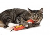 Petstages Green Magic Dynamite Catnip Toy Red 1ea/One Size