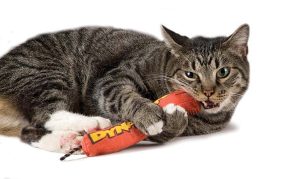 Petstages Green Magic Dynamite Catnip Toy Red 1ea/One Size