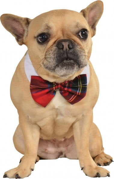 Rubies Plaid Pet Bowtie S-M