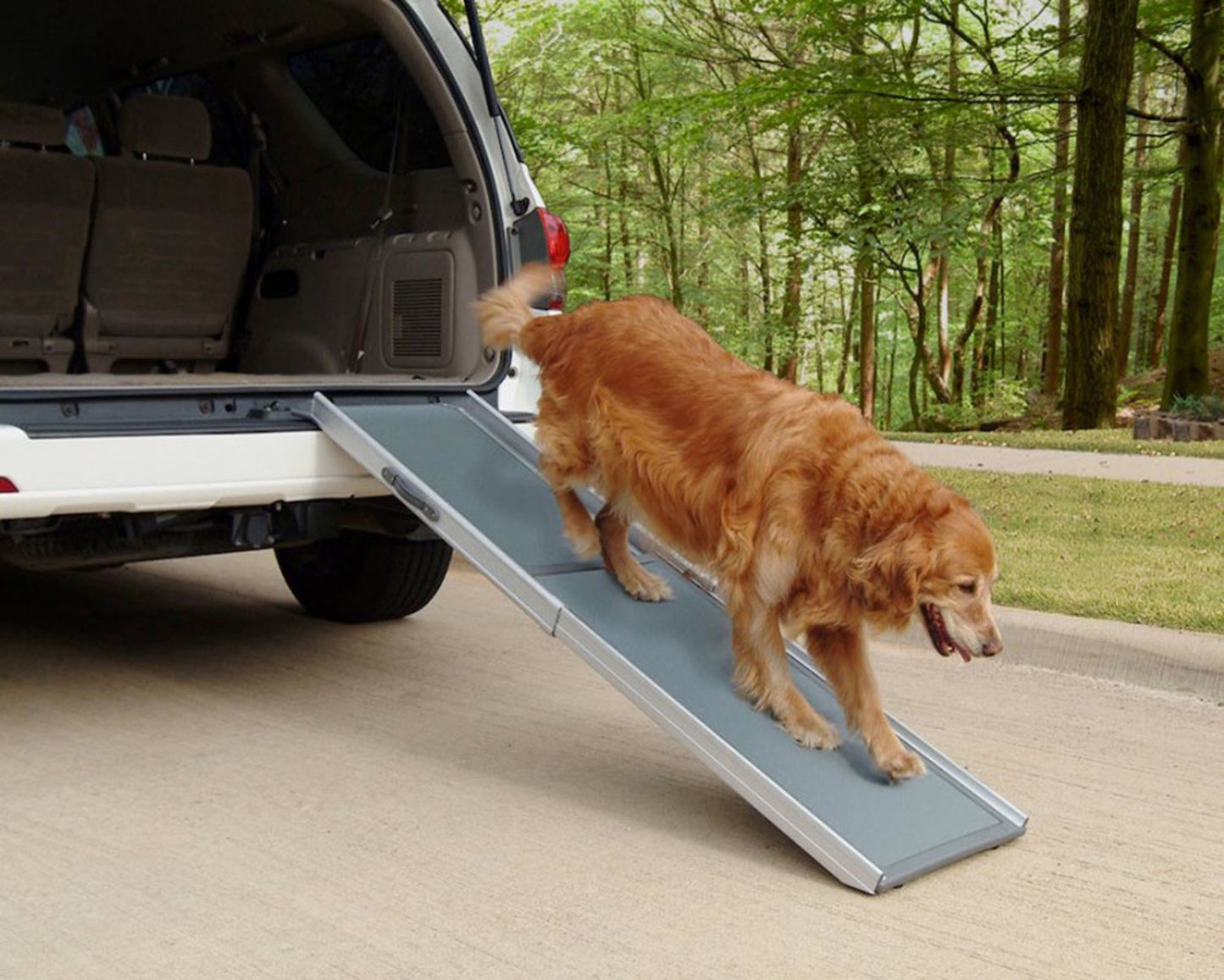 PetSafe Happy Ride Telescoping Pet Ramp for Dogs Grey 1ea/Regular