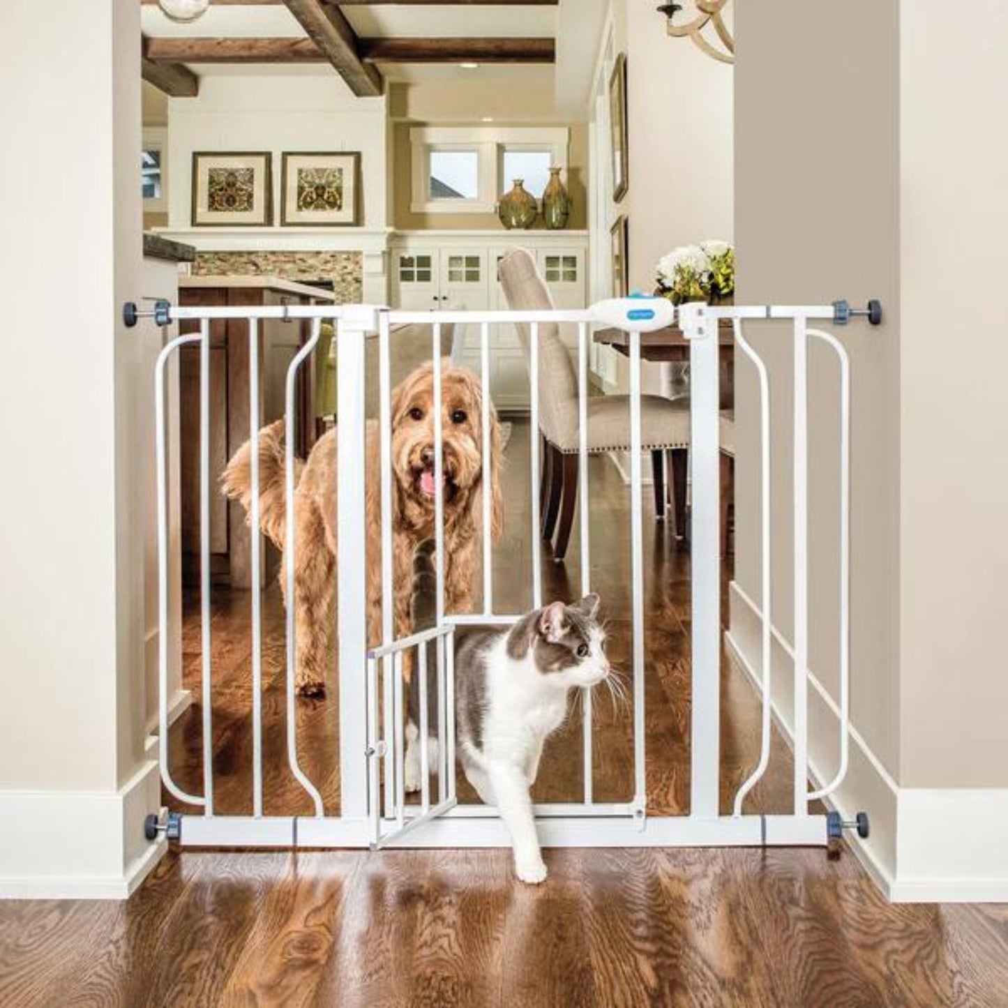 Carlson Extra Wide Pet Gate w/ Slide Handle White 29-51 X 30in.