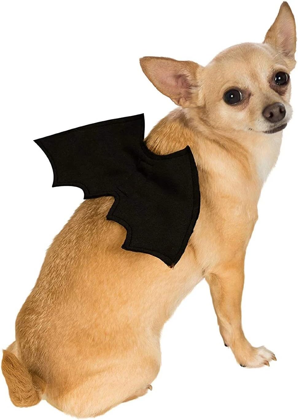 Rubies Pet Bat Wings M-L