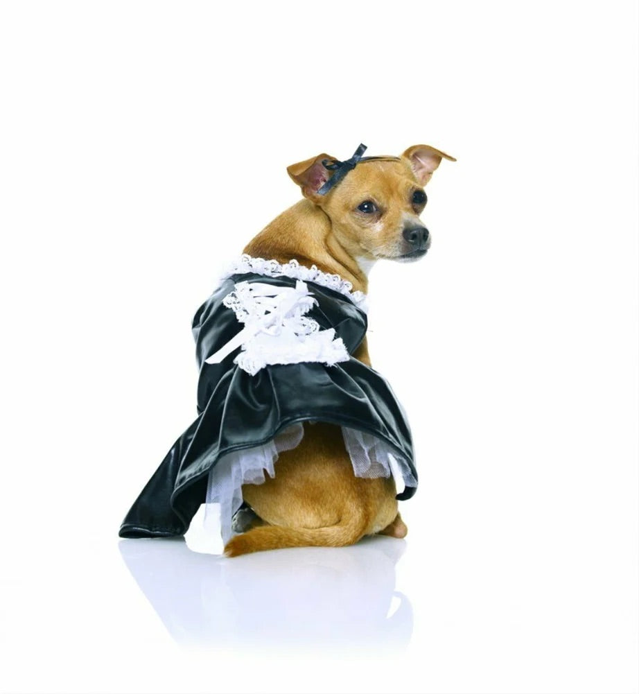 Rubie'S-French Maid Pet Costume-S