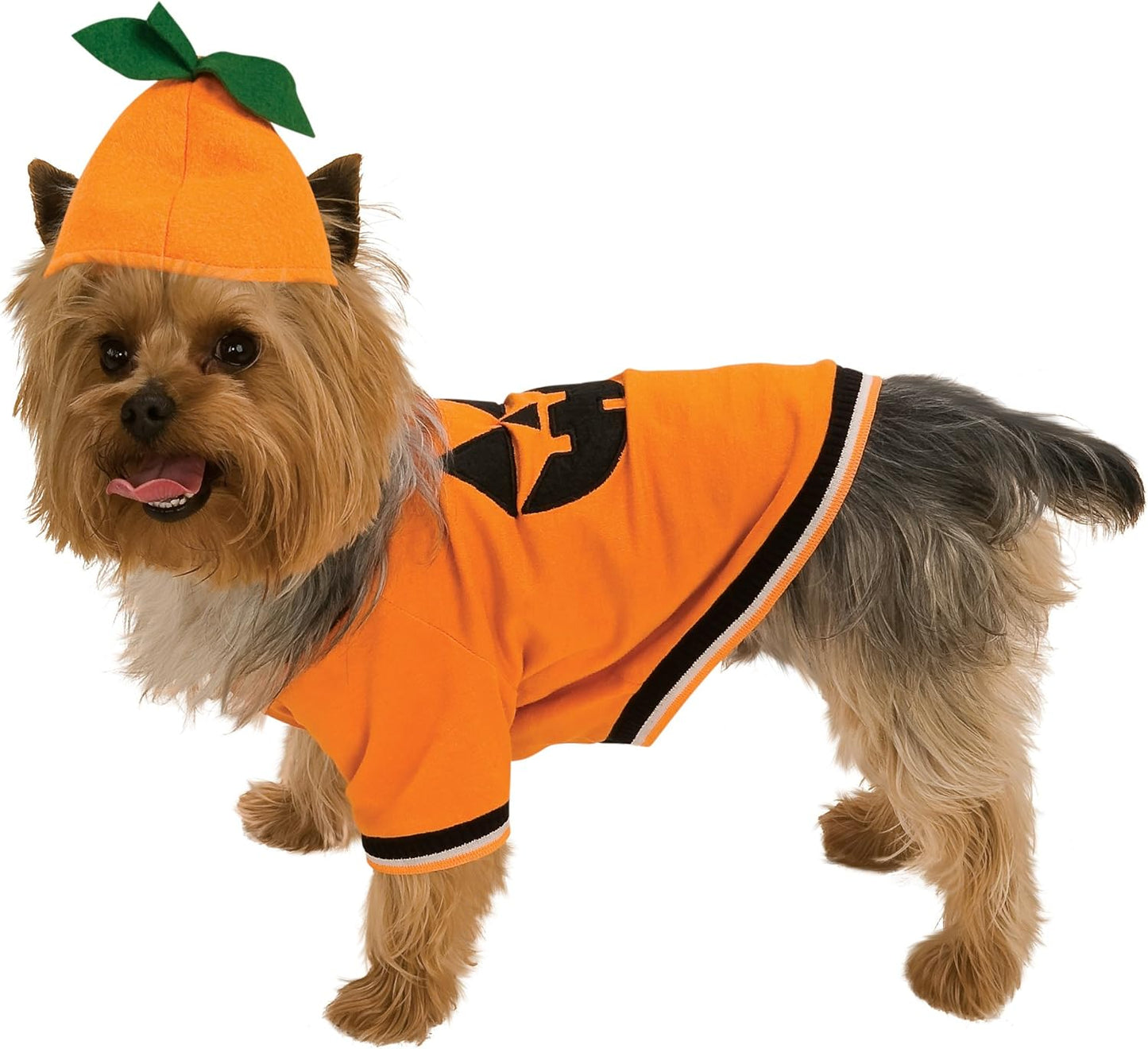 Rubies Pumpkin Pet Costume M